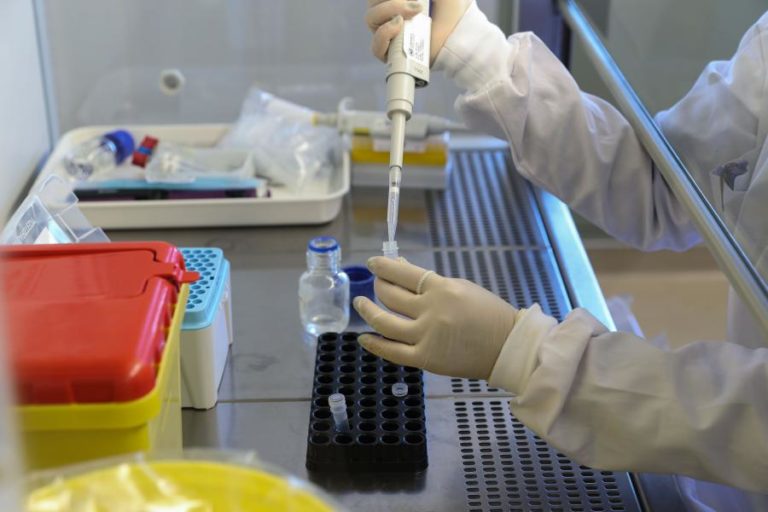 Hantavírus: Centro europeu sem razões para suspeitar que se trata de nova estirpe