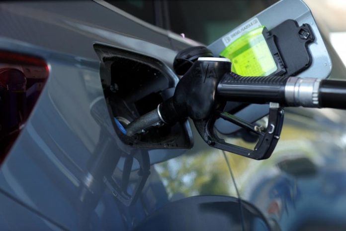 38668996.jpg
