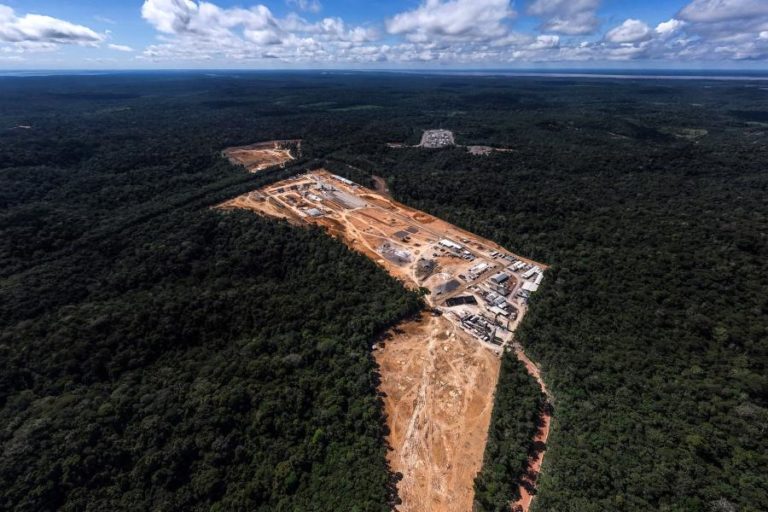 Florestas perderam 41 milhões de hectares numa década – ONU