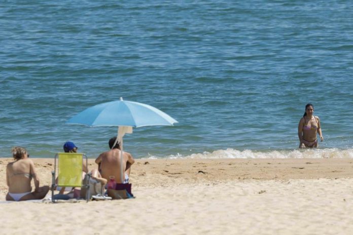 45050046.jpg