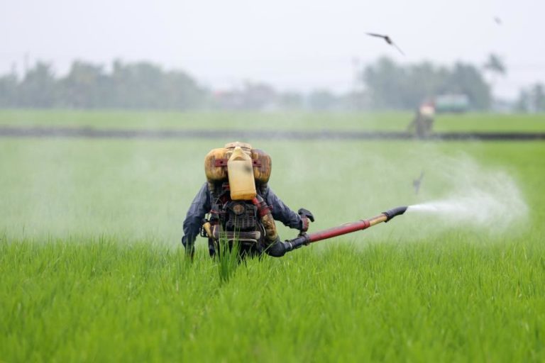 Bloqueio do transporte de fertilizantes arrisca provocar uma crise humanitária – ONU