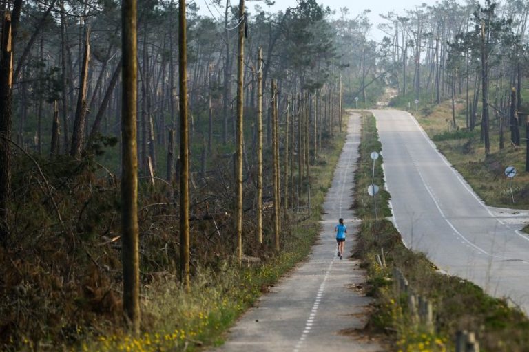 Governo quer tornar território mais resiliente às intempéries – ministra do Ambiente
