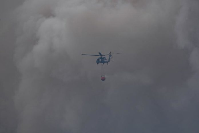 47052587.jpg