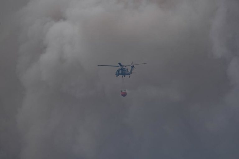 Investigadores esperam ano “particularmente severo” para incêndios florestais