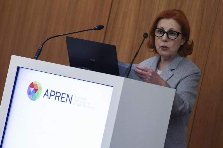Governo quer reduzir para metade dependência dos combustíveis em 8 a 10 anos  – ministra