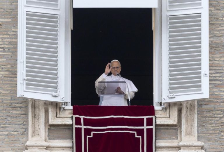 Hantavírus: Papa agradece hospitalidade das Canárias por permitirem desembarque de navio