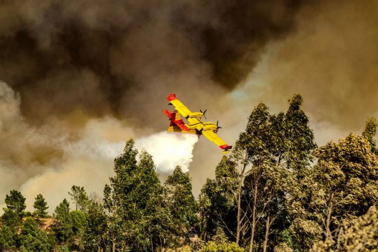 Quinze concelhos de seis distritos em perigo máximo de incêndio