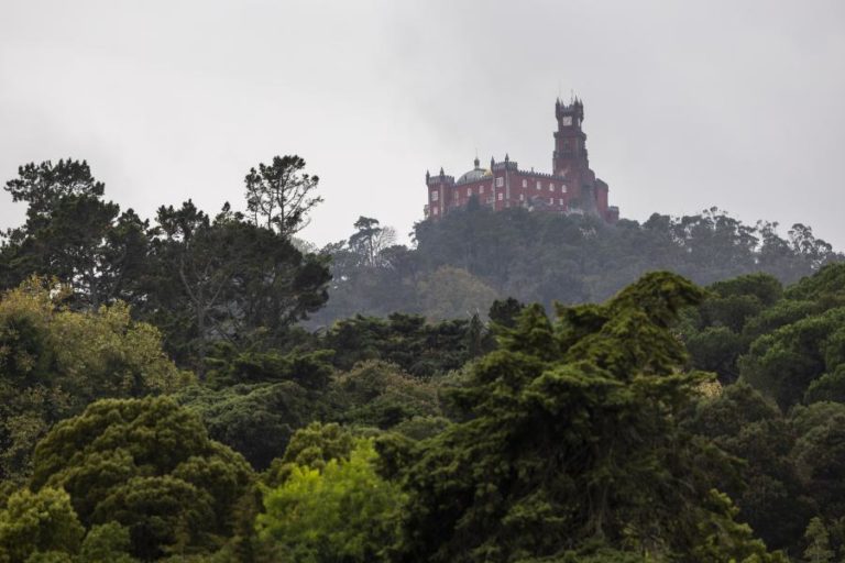 Sintra reabre acessos ao perímetro florestal e monumentos estão abertos