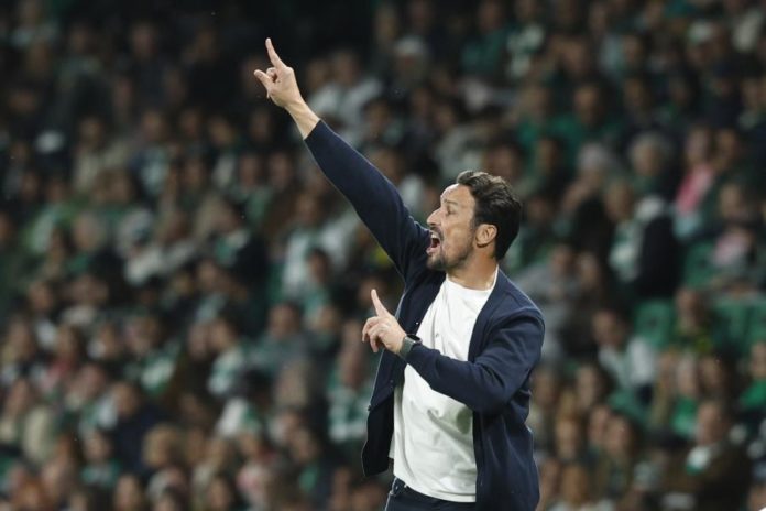 47119773.jpg
