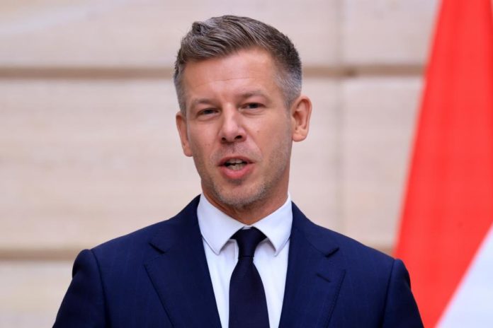 47225477.jpg