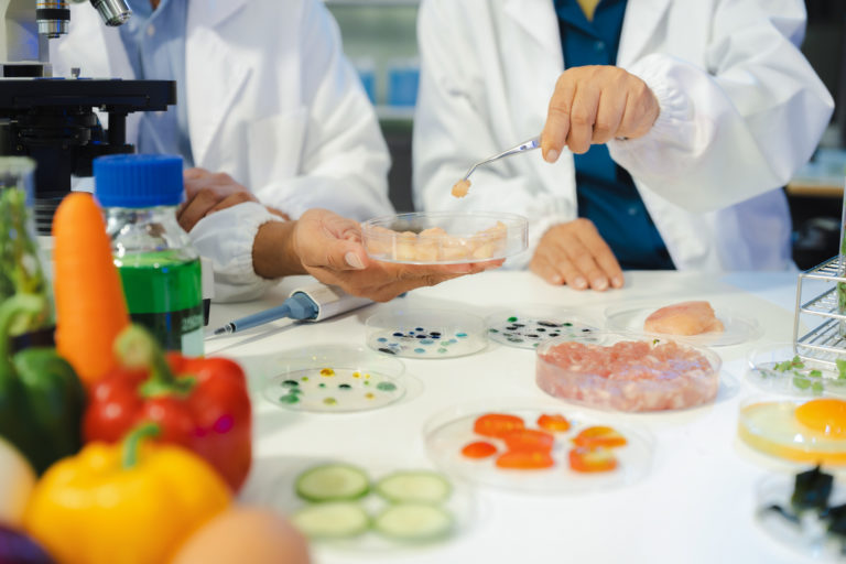 Estudo da OMS alerta para impacto global dos alimentos inseguros