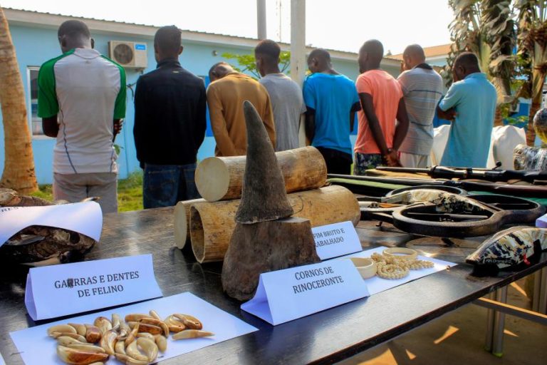 Associação de Caçadores de Angola alerta para gravidade da caça furtiva no país