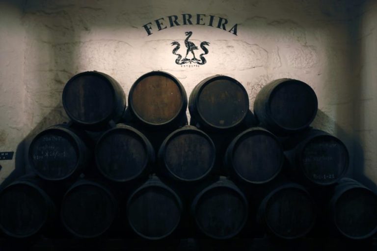 Douro aumenta produção de vinho do Porto para as 76 mil pipas