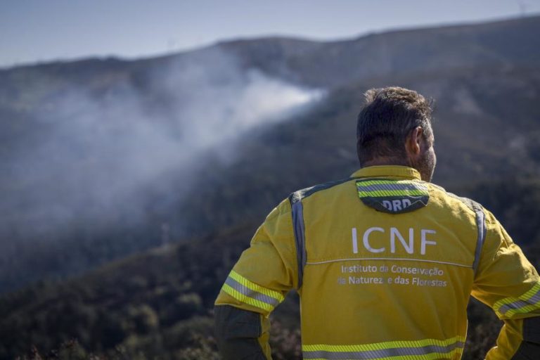ICNF refuta caber-lhe sancionar incumprimentos em estado de alerta