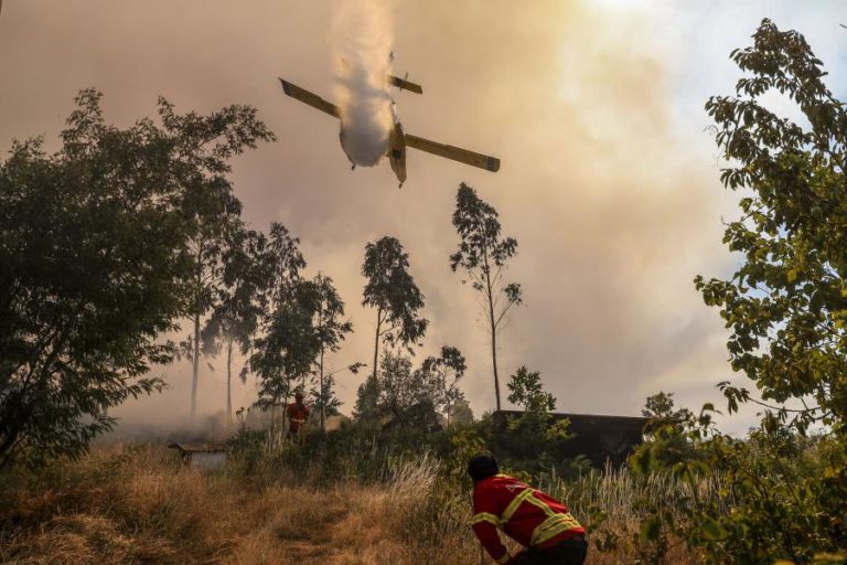 Espanha declara estado de emergência em Madrid e Ávila devido a incêndios florestais