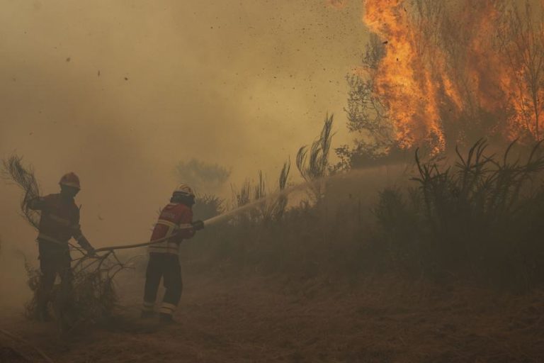 Incêndio em Alijó mobiliza mais de 370 operacionais e leva ao corte do IC5