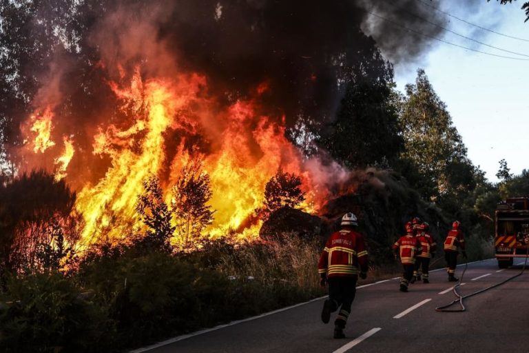 Mais de 50 concelhos do interior Norte e Centro e Algarve em perigo máximo de incêndio