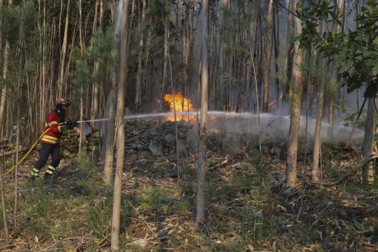 Oito concelhos de Vila Real e Bragança em perigo máximo de incêndio