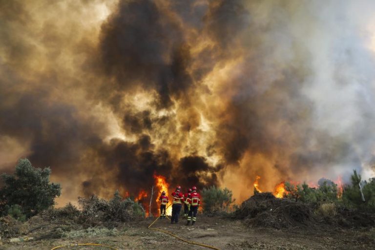 Mais de uma centena de concelhos em risco máximo de incêndio