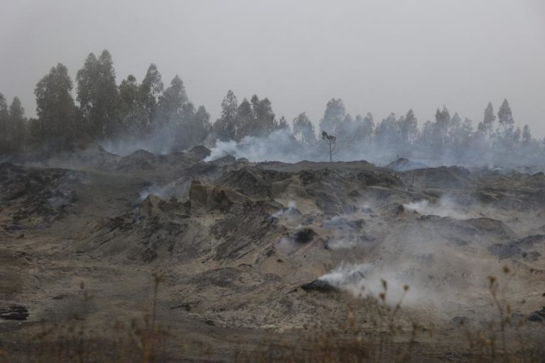 Incêndios: Mais de 50 concelhos do interior e do algarve em perigo máximo