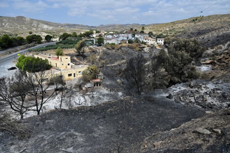 Vítimas mortais no incêndio florestal de Los Gallardos sobem para 13