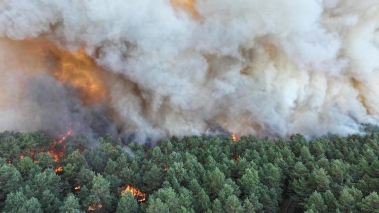 Grande Incêndio em Fontainebleau, a sul de Paris, mobiliza meios aéreos
