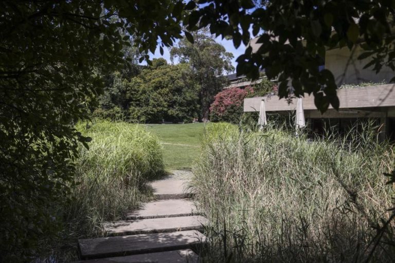 Museu Gulbenkian reabre hoje com entrada gratuita e atividades de celebração