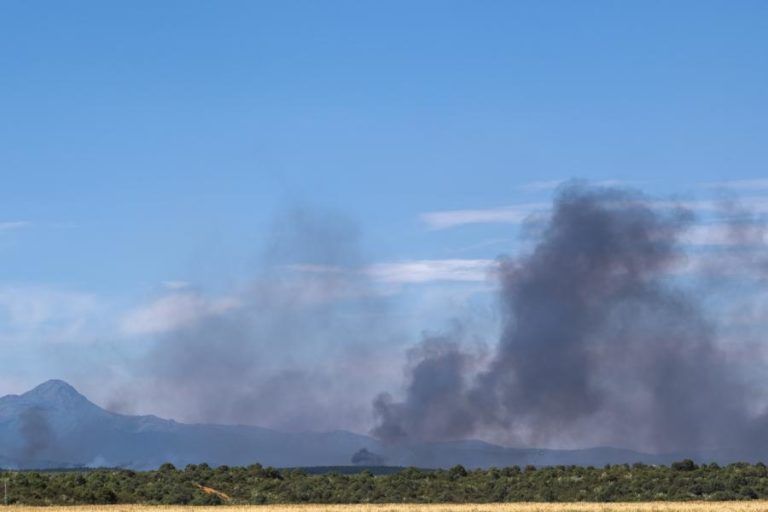 Mais de 12.000 hectares de floresta destruídos por fogo a norte de Madrid