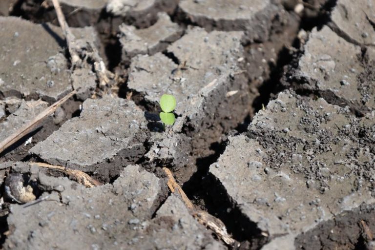 Brasil anuncia plano de 229 ME para enfrentar efeitos climáticos do El Niño