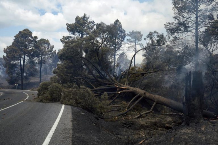 Fogos em Madrid e Ávila estabilizados – Governo espanhol