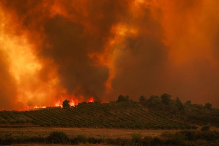 Mais de 50 concelhos do interior em perigo máximo de incêndio
