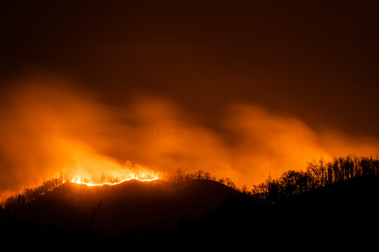 Incêndios florestais no norte de Ontário geram críticas ao governo Ford