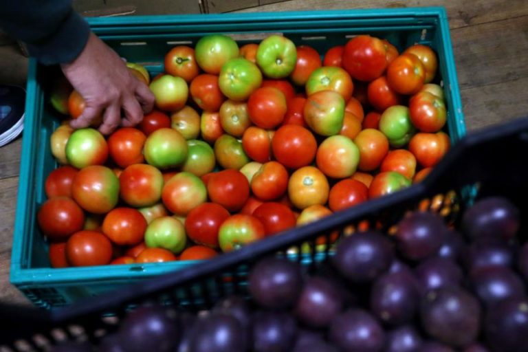 Exportações de frutas, legumes e flores caem 3,5% para 1.226 ME até junho