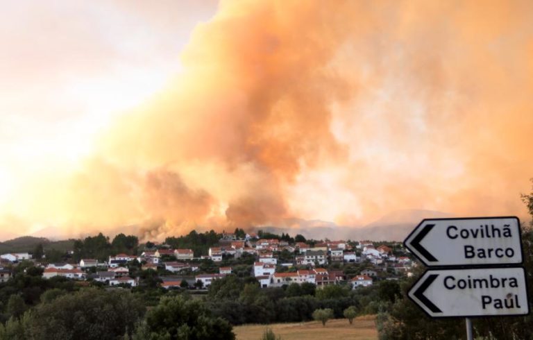 Covilhã foi o município com maior área ardida entre 2020 e 2025 — INE