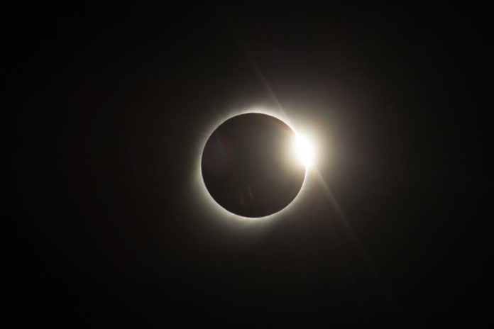 26581015.jpg