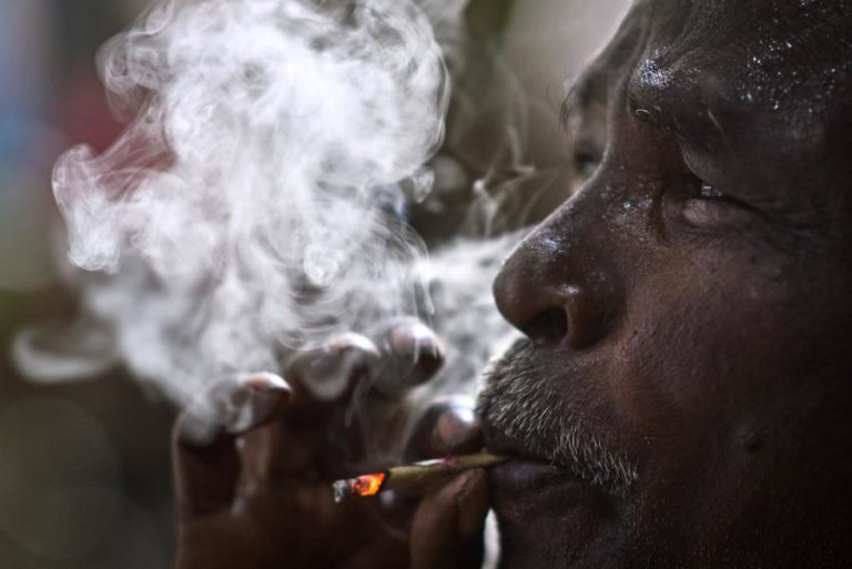 OMS alerta para riscos face ao aumento da produção da folha de tabaco em África