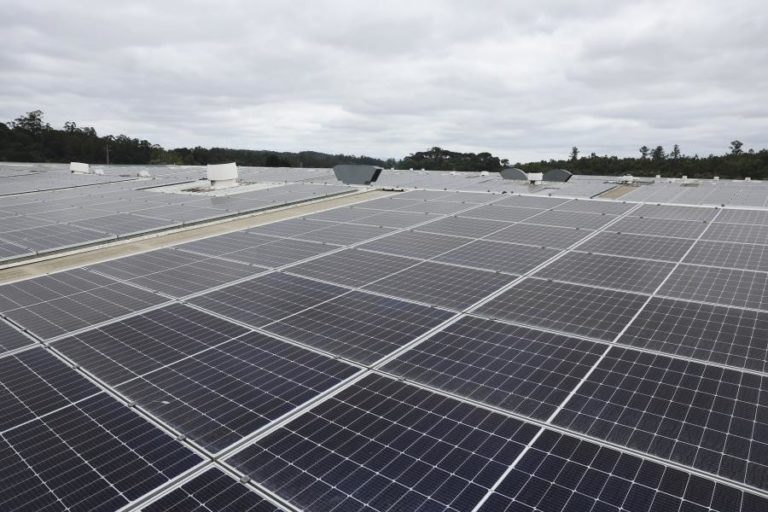 Energia solar lidera pela primeira vez produção de eletricidade em julho – REN