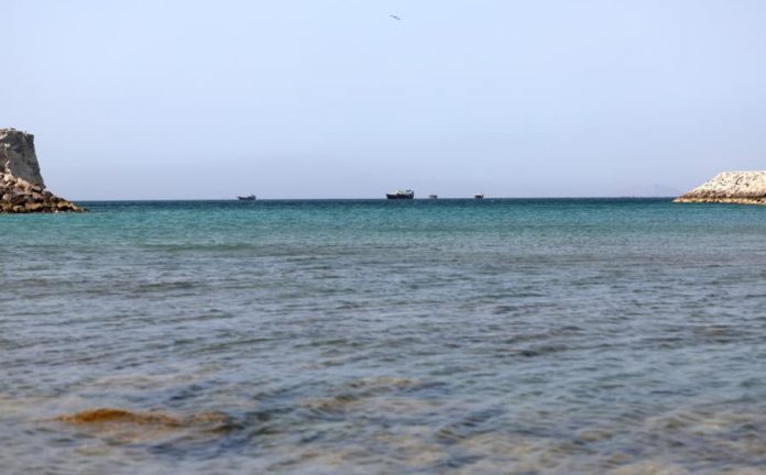 45208342.jpg