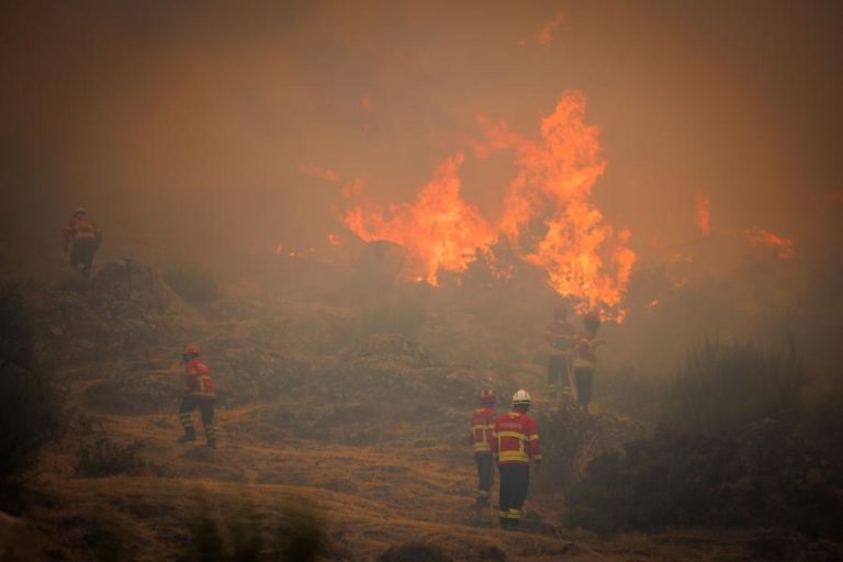 Fogo que deflagrou em Torre de Moncorvo com uma frente ativa em Carrazeda de Ansiães