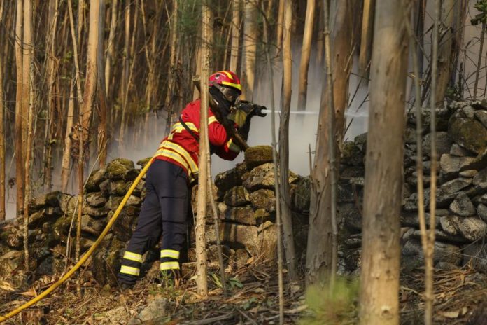 47401569.jpg