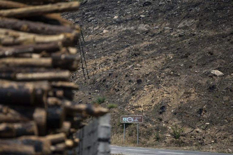 Cerca de 60 concelhos do interior e Algarve em perigo máximo de incêndio