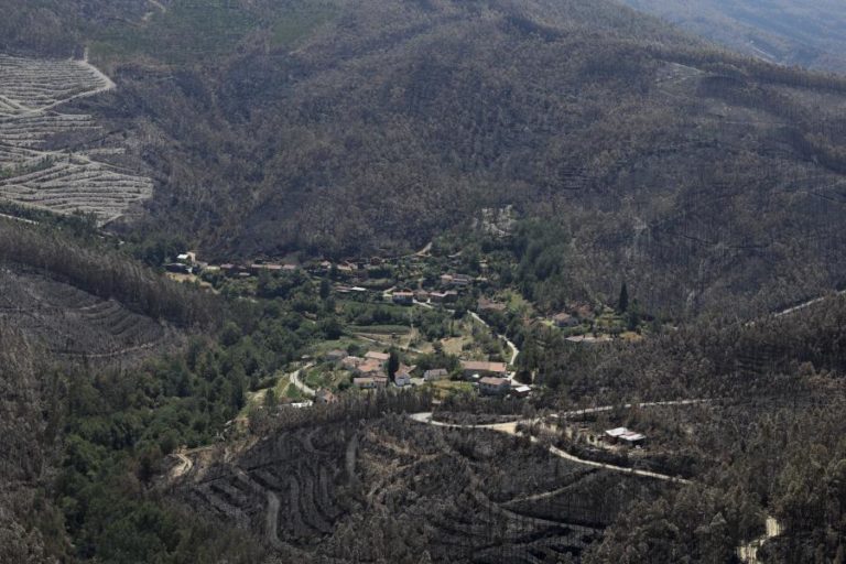 Cerca de 20 concelhos do interior Norte e Centro e Algarve em perigo máximo de incêndio