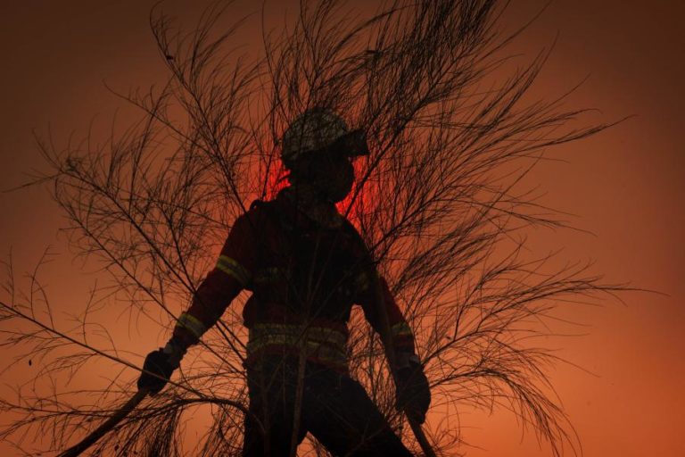 Plataforma portuguesa que ajuda à tomada de decisão no combate a incêndios em testes