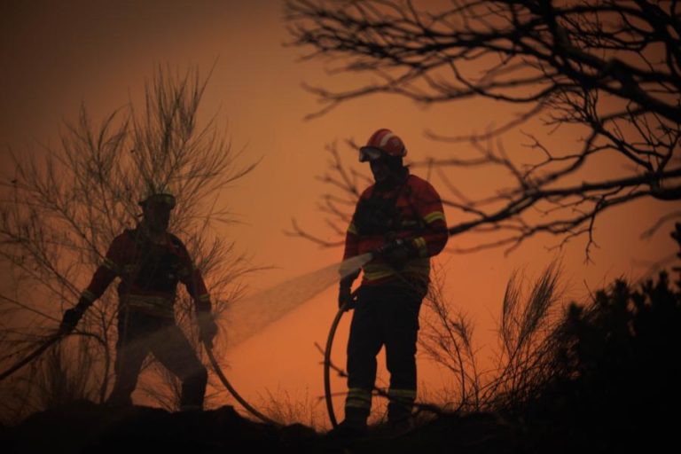 Cerca de 50 concelhos do interior norte e centro e Algarve em risco máximo de incêndio