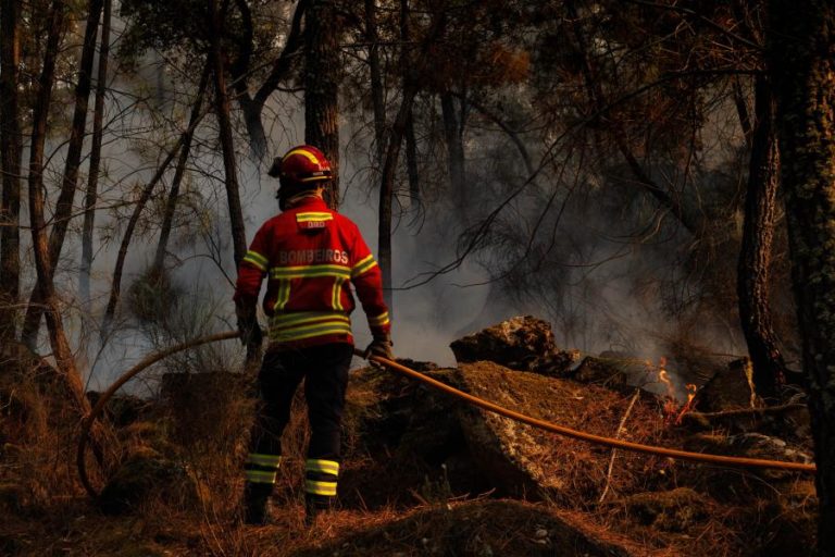 Quatro incêndios a Norte já em resolução mantêm mais de 1.400 operacionais no terreno