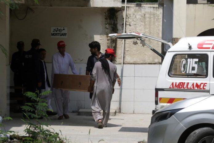 47663823.jpg