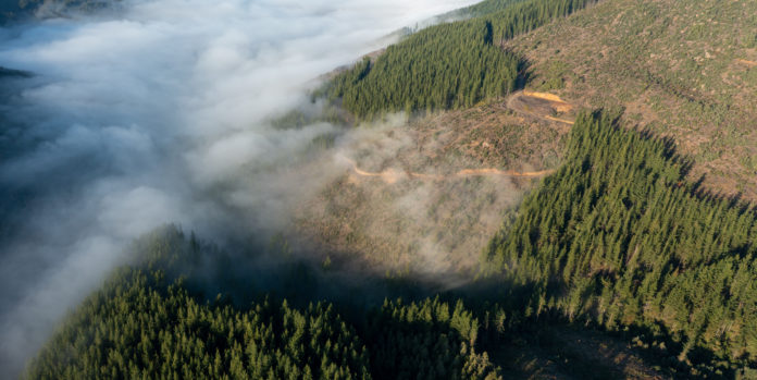 B2-01-VT B.C. COM INCENDIOS ATIVOS CS_CA 080626