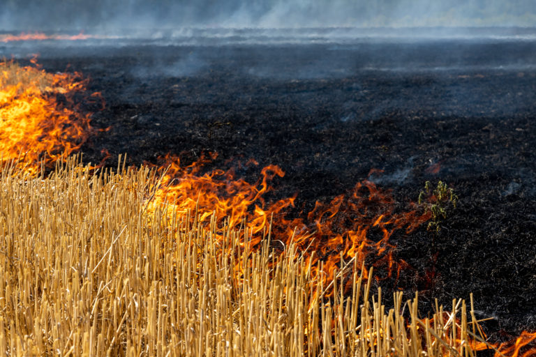 Incêndio em Summerland obriga a restrições na principal estrada da British Columbia