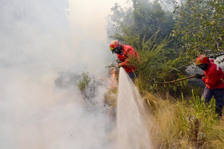 Quatro meios aéreos e 169 bombeiros combatem fogo na Lourinhã