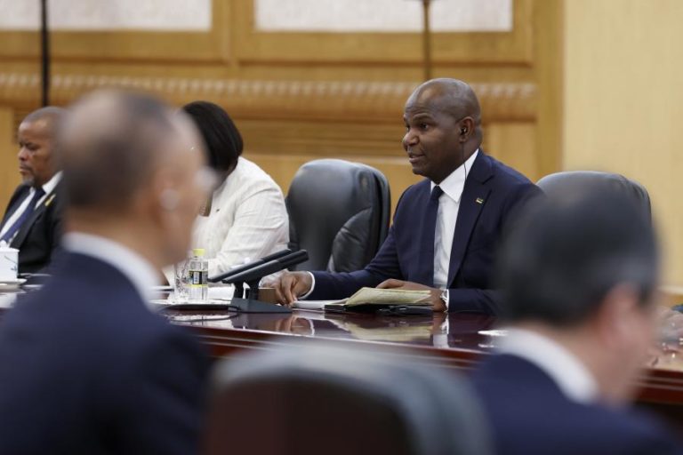 Veteranos da libertação de Moçambique terão 10% dos projetos agrícolas – PR